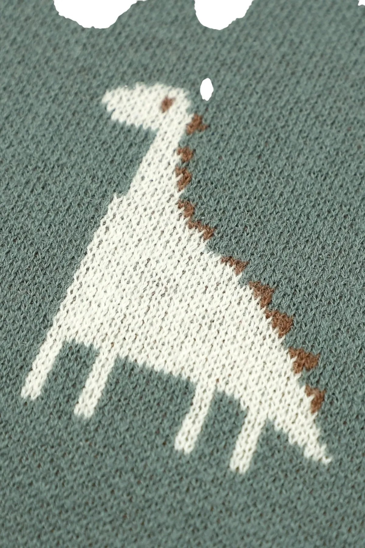 Kız Ve Erkek Bebek Için Örgü Bebek Battaniyesi Dinocuk Yeşil - battani.co