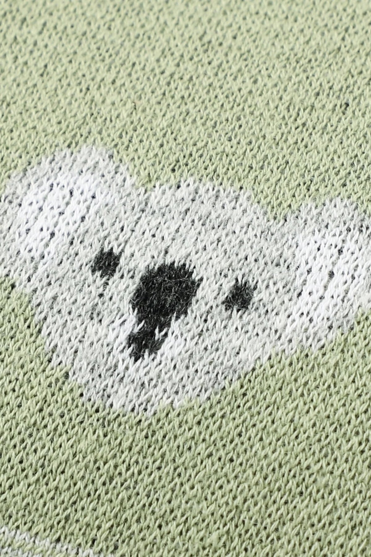Kız Ve Erkek Bebek Için Triko Örgü Bebek Battaniyesi 85cm X85cm Açık Yeşil Koalacık - battani.co