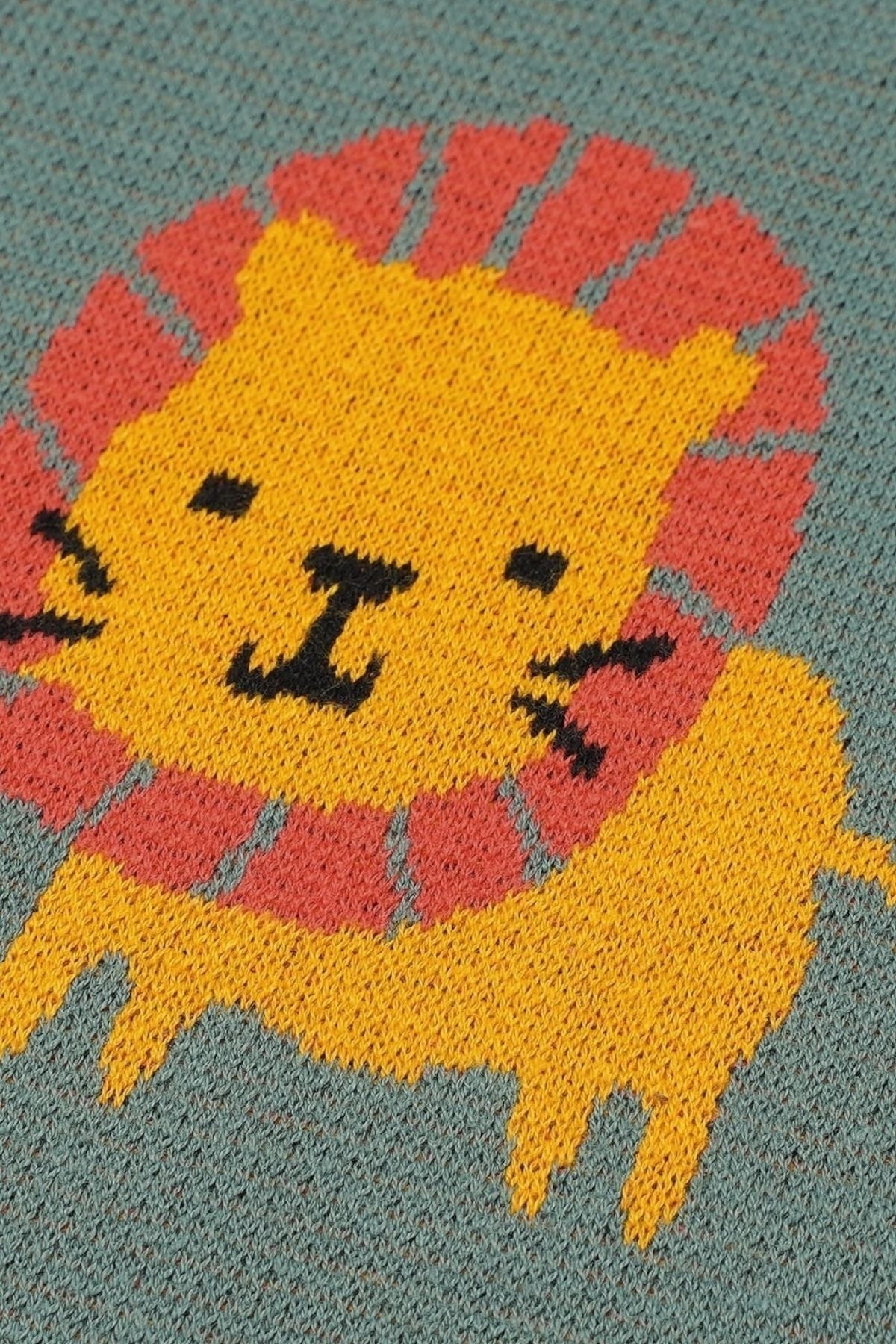 Kız Ve Erkek Bebek Için Triko Örgü Bebek Battaniyesi Yeşil Aslan 90cm X110cm - battani.co